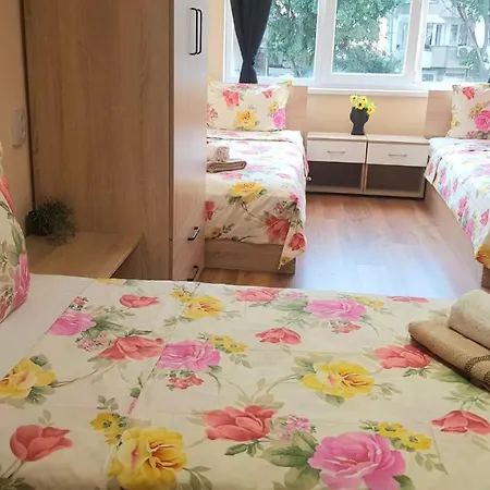 Roma Hostel *