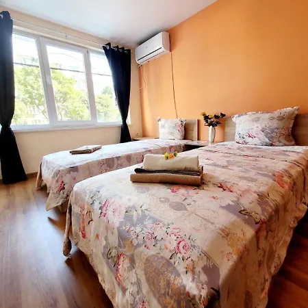 Roma Hostel *